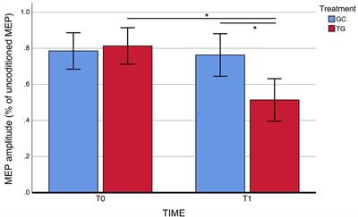 Citicoline Treatment in Acute Ischemic Stroke: A Randomized, Single-Blind TMS Study